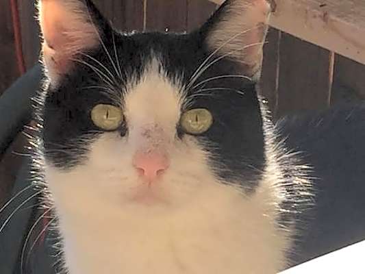 Photo of Tobias #image