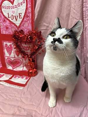 Photo of Kevin #image