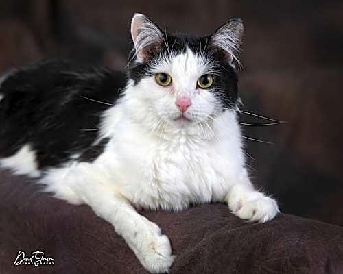 Photo of Norah #image