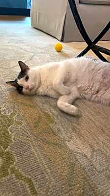 Photo of Emmie #image