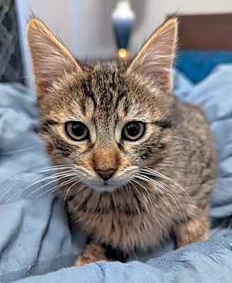 Photo of Oliver #image
