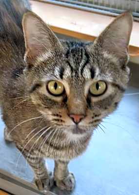 Photo of Lilo #image