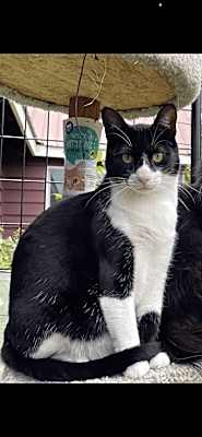 Photo of Oscar #image