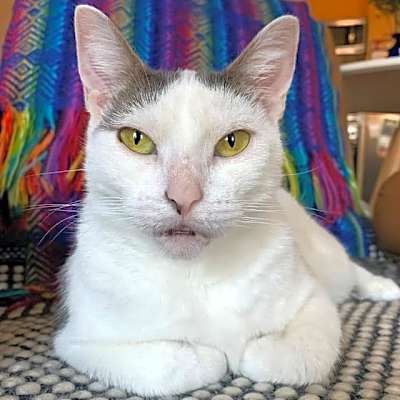 Photo of Fulton #image