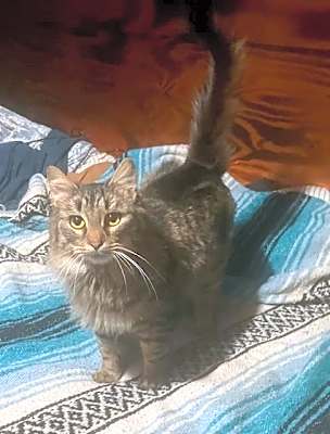 Photo of Lisa #image