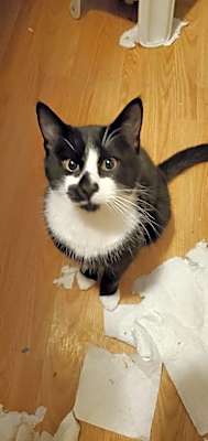 Photo of Az (Alex) #image
