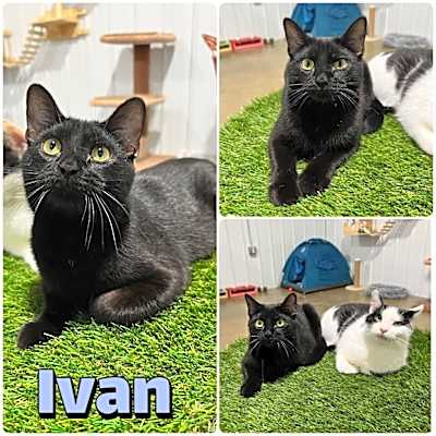 Photo of Ivan #image
