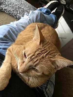 Photo of Jazzie #image