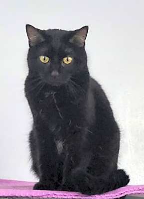 Photo of Rhoda #image