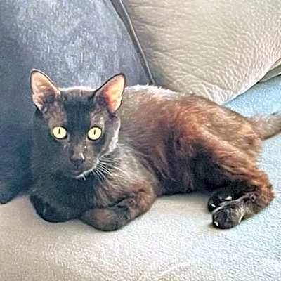 Photo of Ricky #image