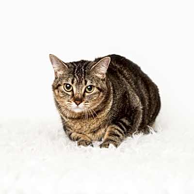 Photo of Marla #image