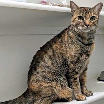 Photo of Ezri #image