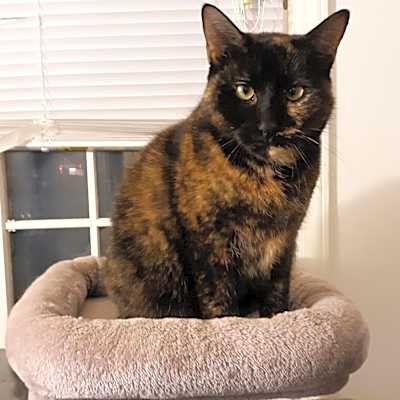 Photo of Tia #image