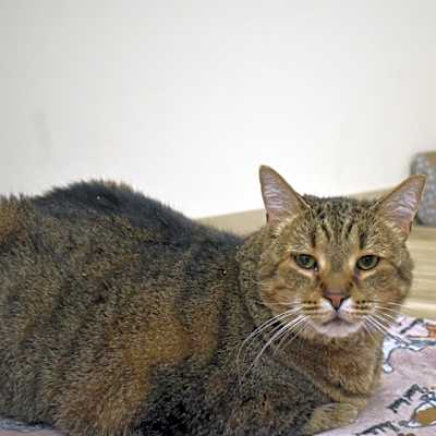 Photo of Bobby #image