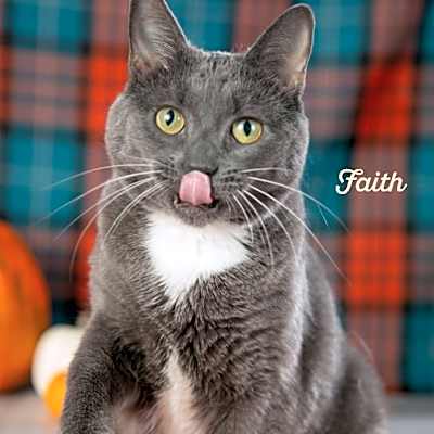 Photo of Faith #image
