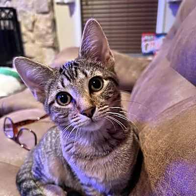 Photo of Roxanne #image