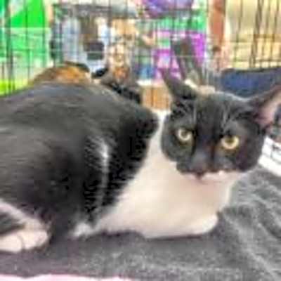 Photo of Penelope #image