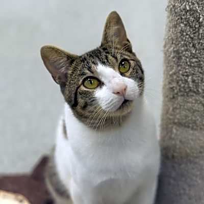 Photo of Rico #image
