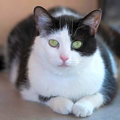 Photo of Avalynn #image
