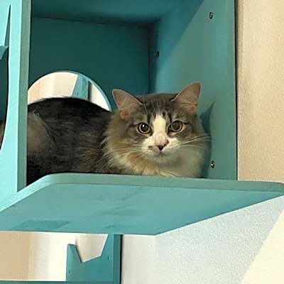 Photo of Gretchen #image