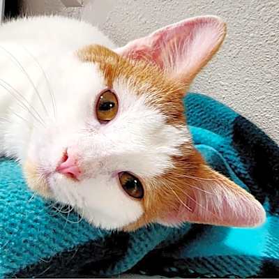 Photo of Howard #image
