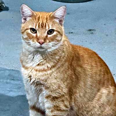 Photo of Monterey JG* #image