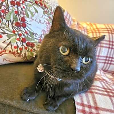 Photo of Penelope #image