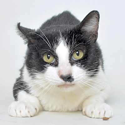 Photo of Slim Jim #image