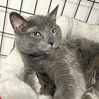 Photo of Bubs #image