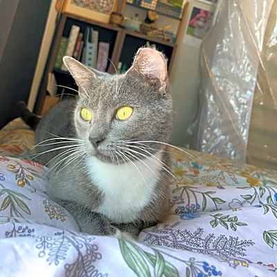 Photo of Geraldine #image