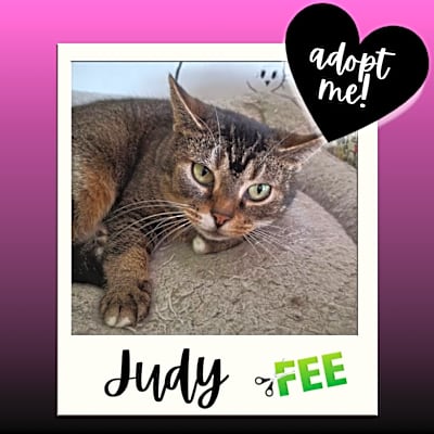 Photo of Judy #image