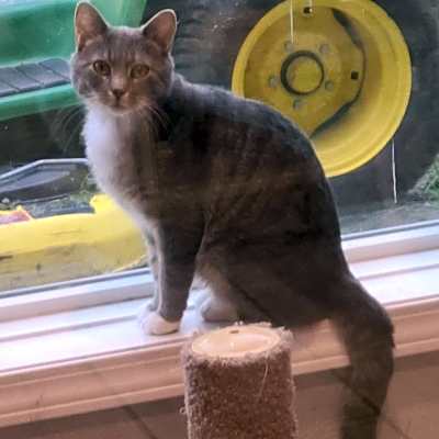 Photo of Tom #image
