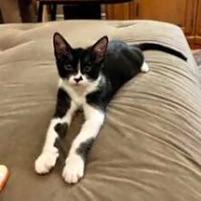 Photo of Rowdy #image