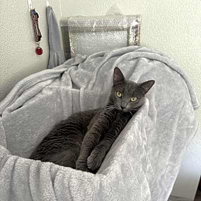 Photo of Lily #image