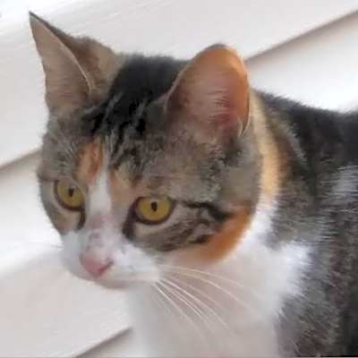 Photo of Evie #image