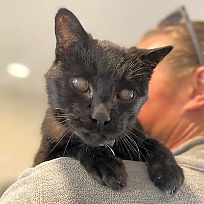 Photo of Loki #image