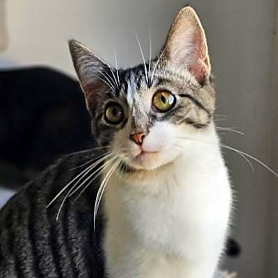 Photo of Dory 86C24 #image