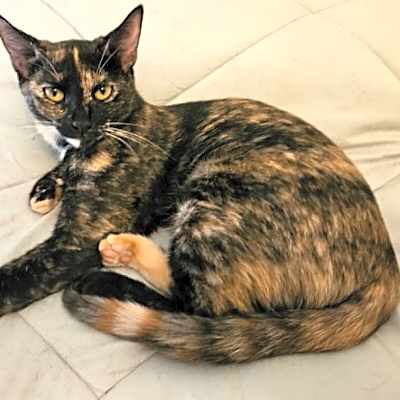 Photo of Lenore #image