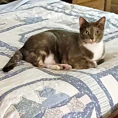 Photo of Alice #image