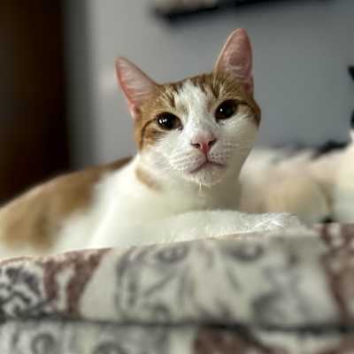 Photo of Olaf #image