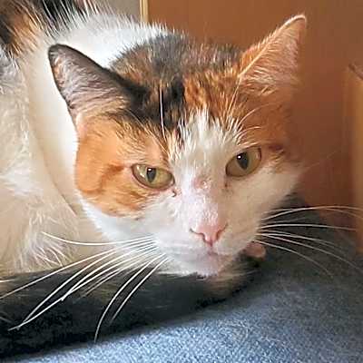 Photo of Zoe #image