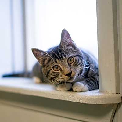Photo of Gus #image