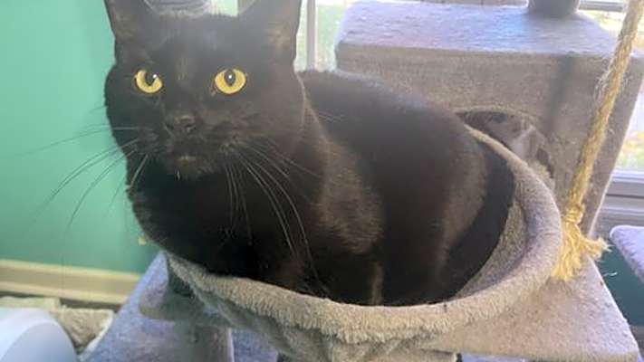 Photo of Pippa #image