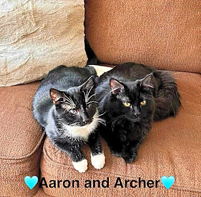 Photo of Aaron and Archer #image