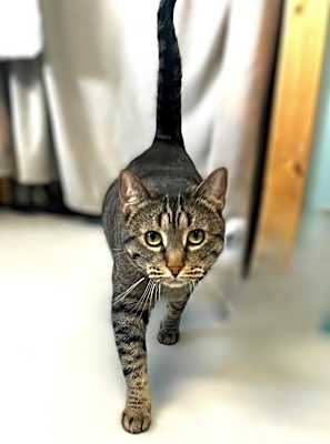 Photo of Gia #image