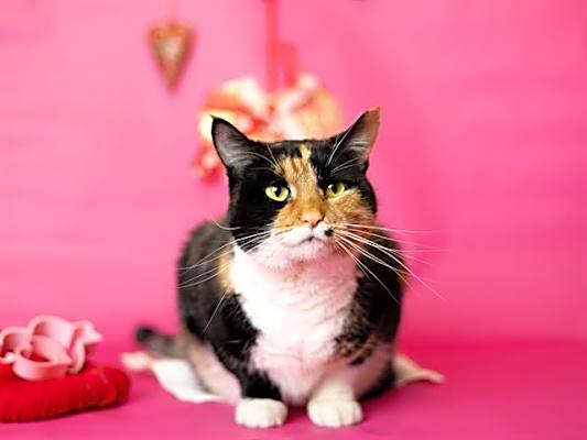 Photo of MARI #image