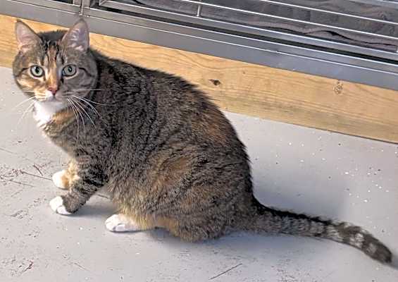 Photo of Greta #image