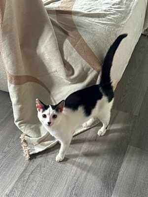 Photo of Riley #image