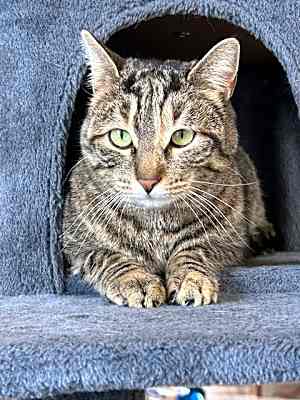 Photo of Salem #image