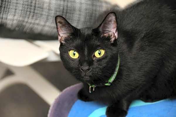 Photo of Lucy #image